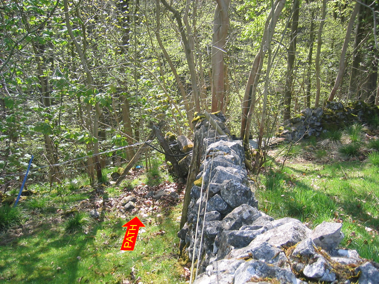 Photograph: Path obstructed by wire fence