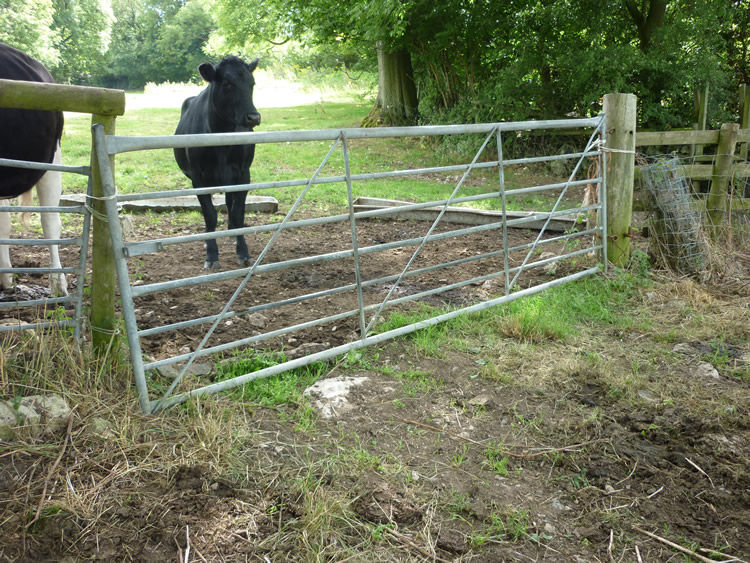 Photograph: 2010: Gate tied shut with twine