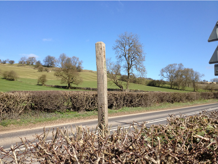 Photograph: Broken fingerpost