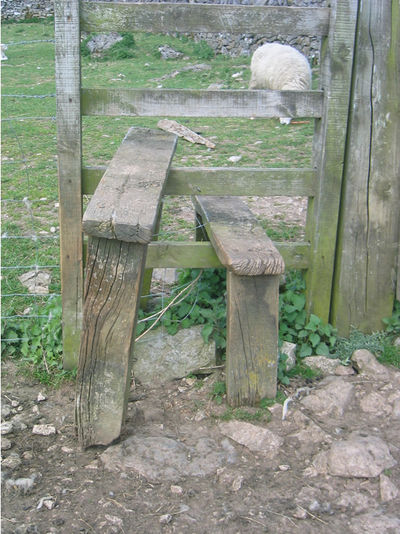 Photograph: 2009: Through step and supports detached