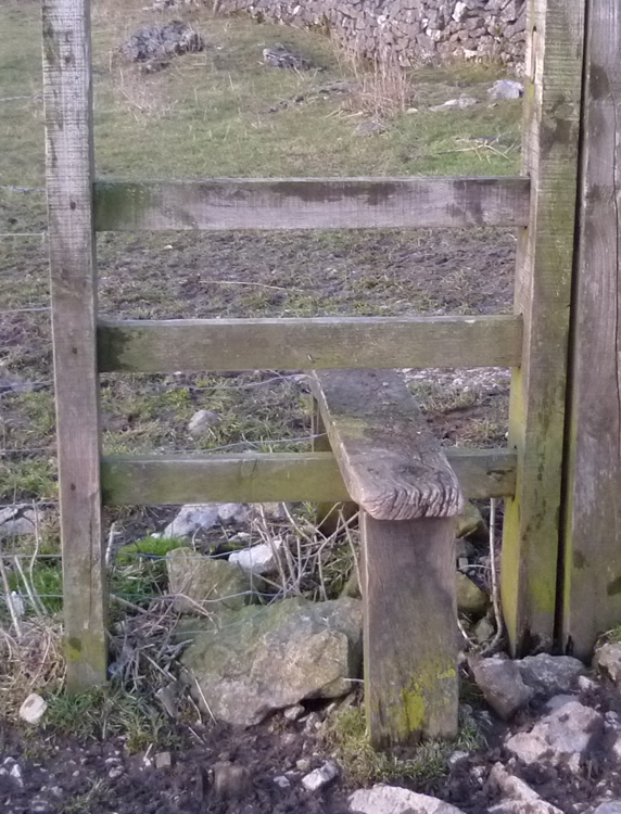 Photograph: 2010: Broken step and top rail removed (now OK)
