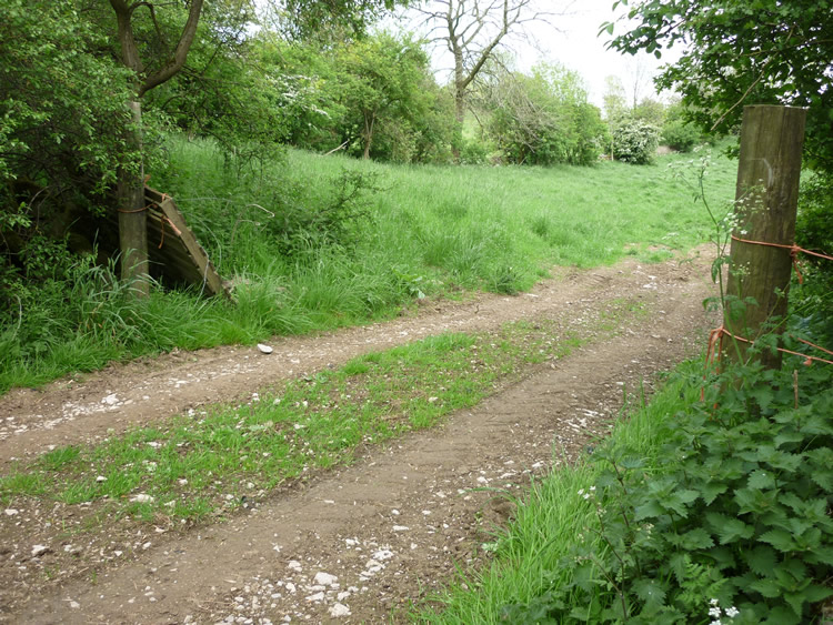 Photograph: 2011: Barbed wire removed