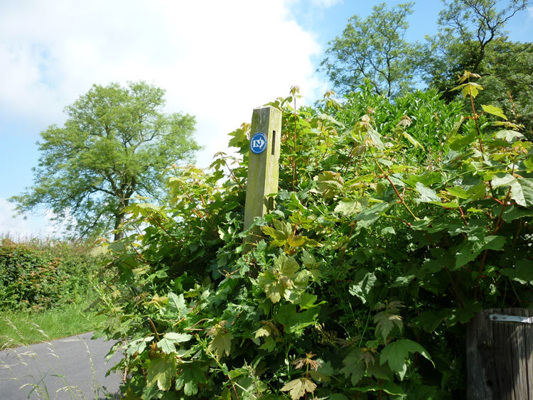 Photograph: 2009: Broken signpost
