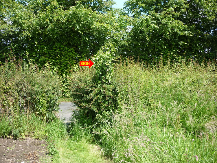 Photograph: 2009: Sign invisible, covered in ivy