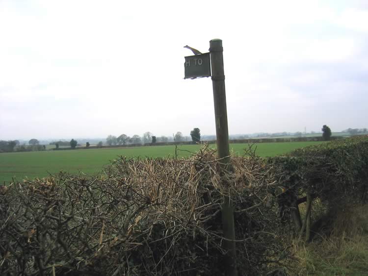 Photograph: 2007: Broken sign