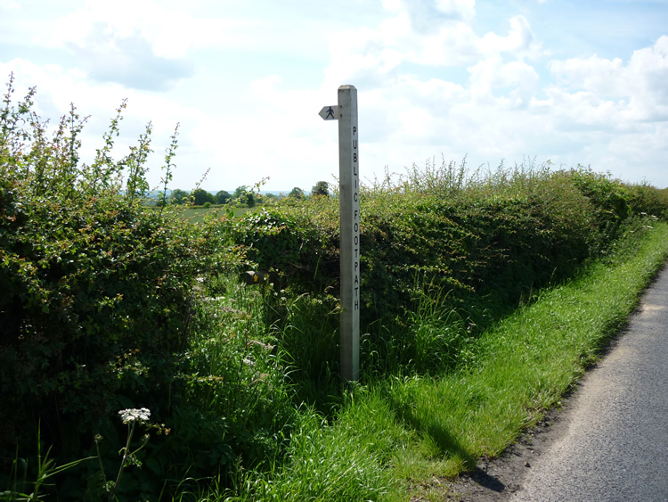 Photograph: 2009: New sign
