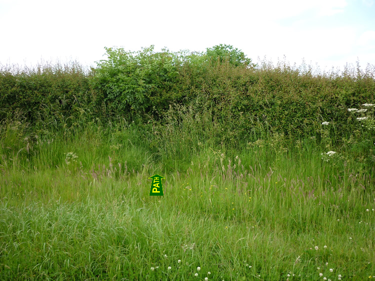 Photograph: 2007: Path obstructed by hedge