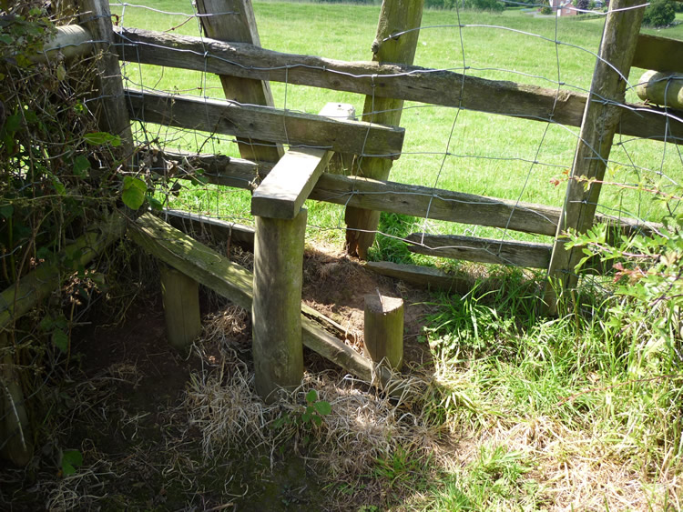Photograph: 2009: Broken step