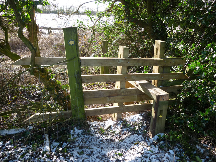 Photograph: 2010: New stile