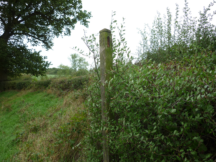 Photograph: September 2010: Broken sign