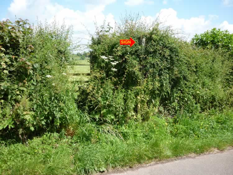 Photograph: 2009: Sign overgrown