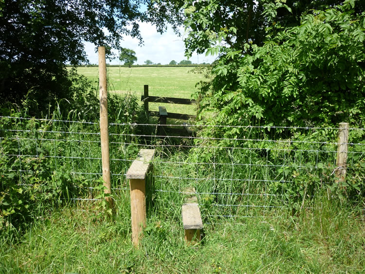 Photograph: 2009: Two new stiles