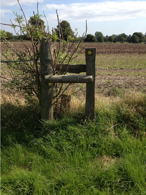 Photograph: Stile missing through step