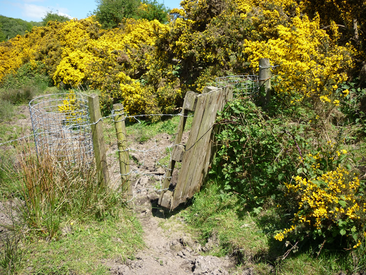 Photograph: 2009: Barbed wire prevents progess