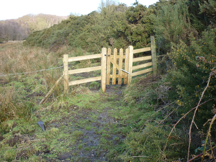 Photograph: 2010: New gate