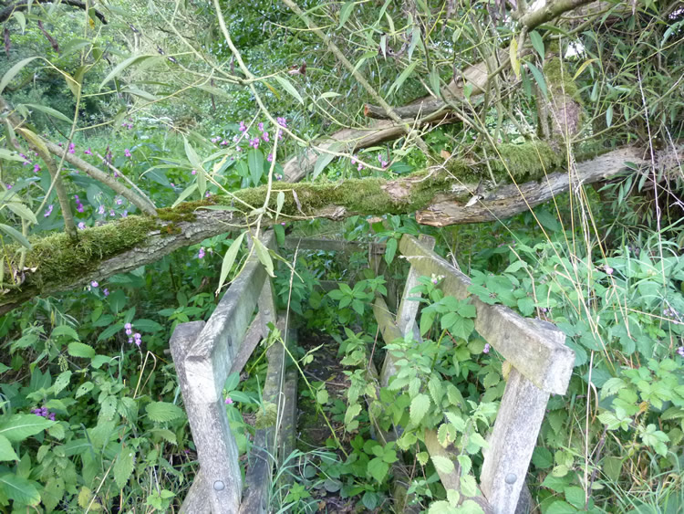 Ravensdale Park FP6 Bridge overgrown (SOLVED) 2 photos