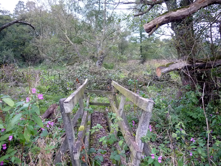 Ravensdale Park FP6 Bridge overgrown (SOLVED) 2 photos