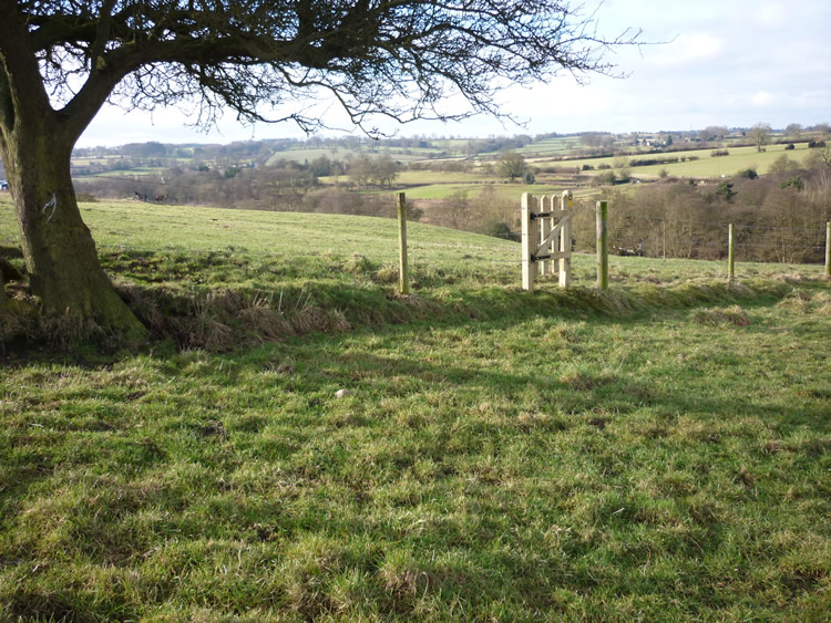 Photograph: 2010: New gate