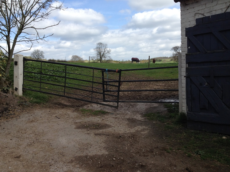 Photograph: Gate tied shut