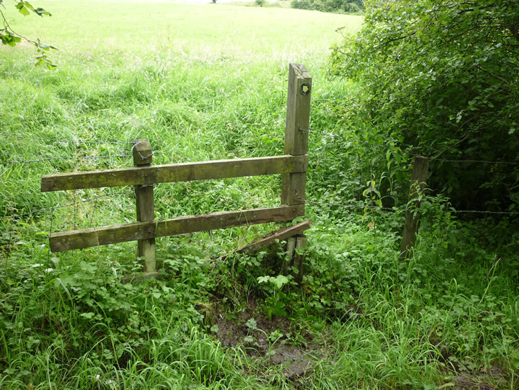 Photograph: 2009: Broken stile