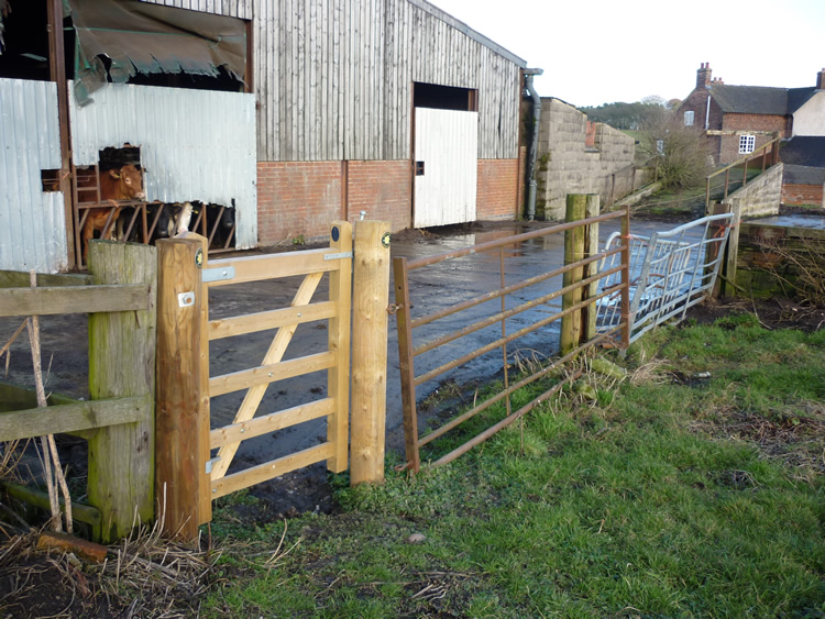 Photograph: 2010: New gate
