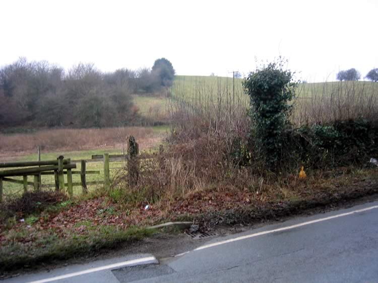 Photograph: 2007: Sign invisible, covered in ivy