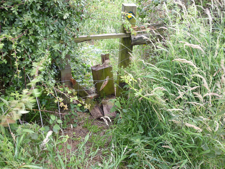 Photograph: 2009: Broken stile