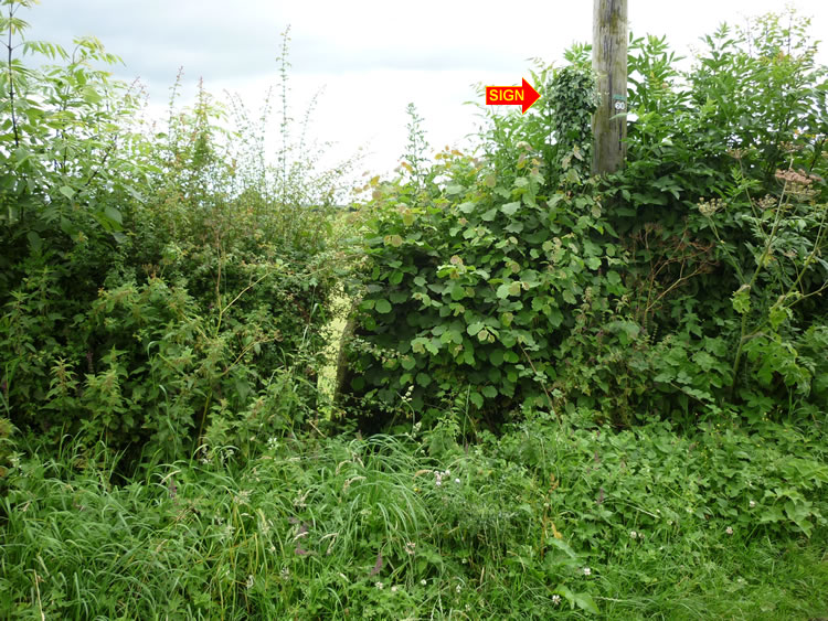 Photograph: 2009: Sign invisible, covered in ivy