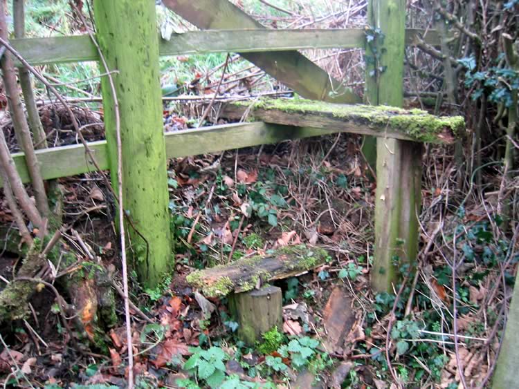 Photograph: 2009: Rotten and broken lower step