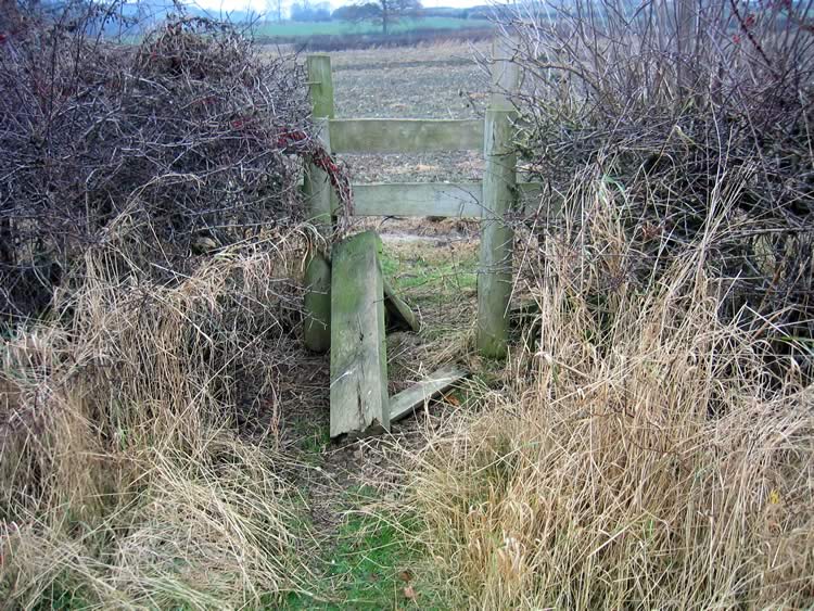 Photograph: 2007: Partly collapsed through step