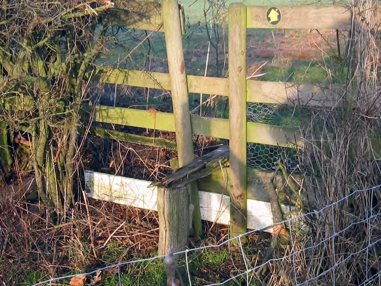 Photograph: 2007: Rotten and broken through step